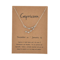 Collier en Argent Motif Capricorne