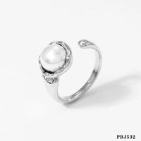 Argent Type B