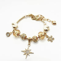 Eight Awn Star Flowers