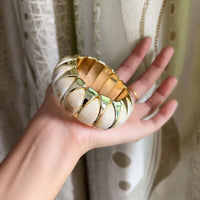 Shell Color